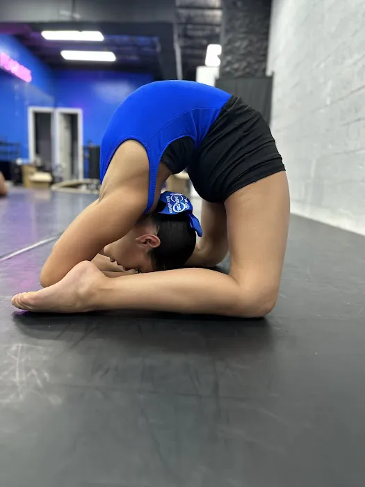 Limitless Dance Collective Picture 8