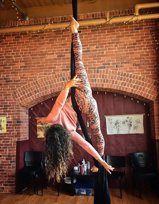 North Shore Pole Fitness Picture 4