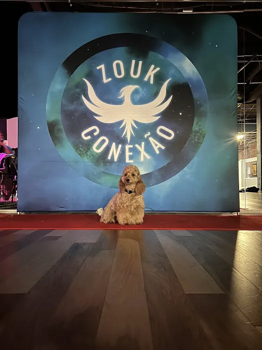 Zouk Conexao Picture 1
