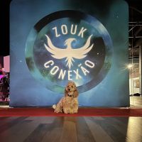 Zouk Conexao ico