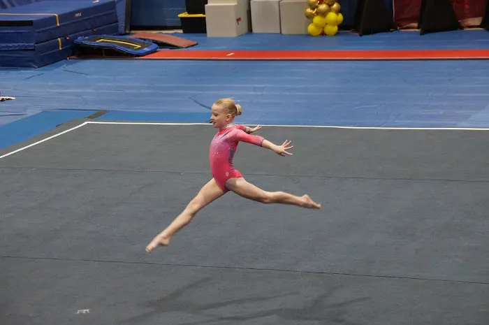 Heidi's Musical Gymnastics Picture 2