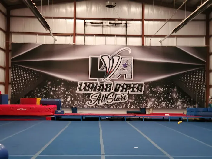 Lunar Viper Allstars Picture 2