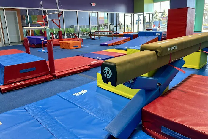The Little Gym of Leominster Picture 4
