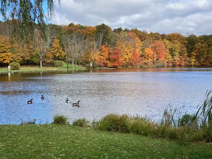 Hudson Valley Ecstatic Dance Picture 2