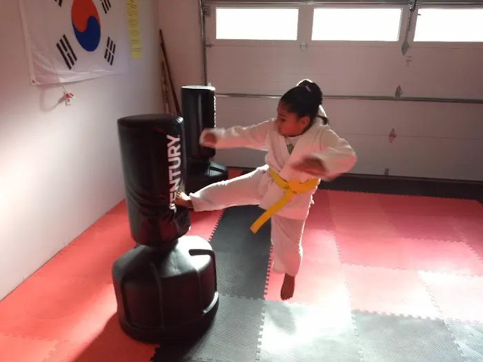 Reason's World Taekwondo Academy, LLC Picture 2