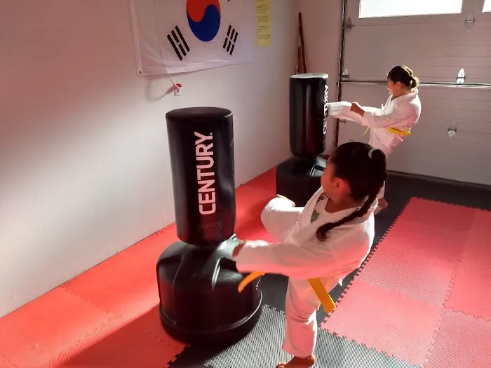 Reason's World Taekwondo Academy, LLC Picture 1