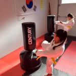 Reason's World Taekwondo Academy, LLC
