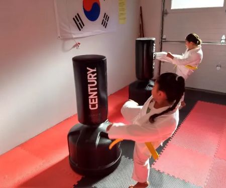 Reason's World Taekwondo Academy, LLC