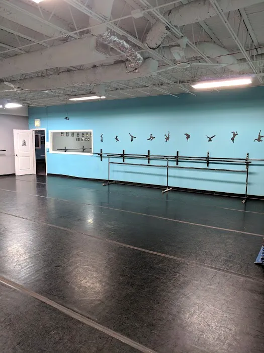 Precision Dance Project Picture 6