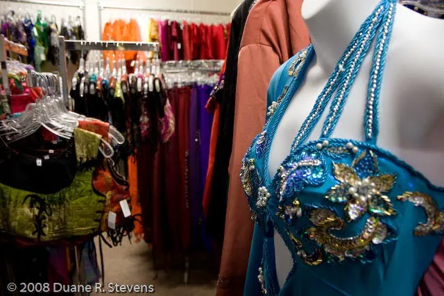 Adira Dance and Costume Picture 1