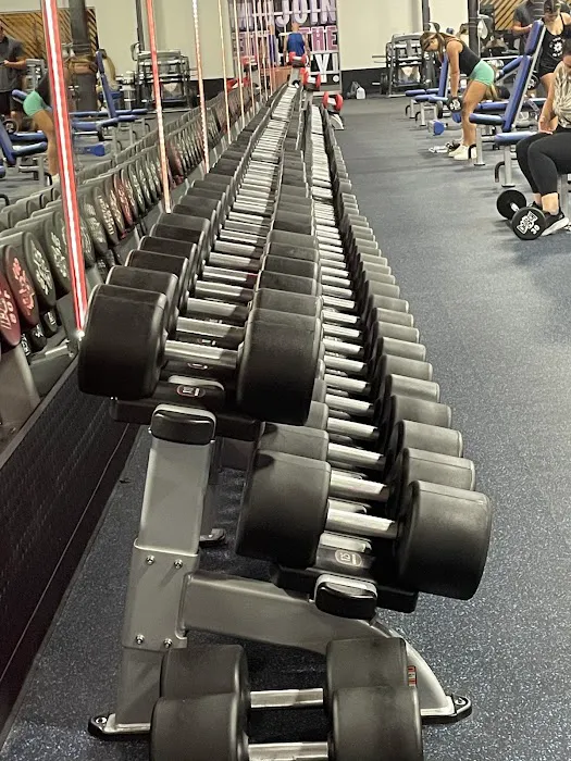 Crunch Fitness - Wellington Picture 10