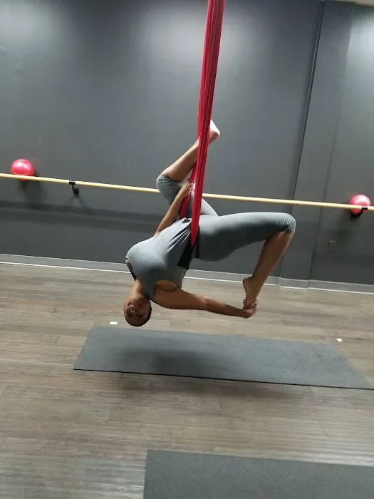 2D FIT aka 2D POLE FIT Picture 3