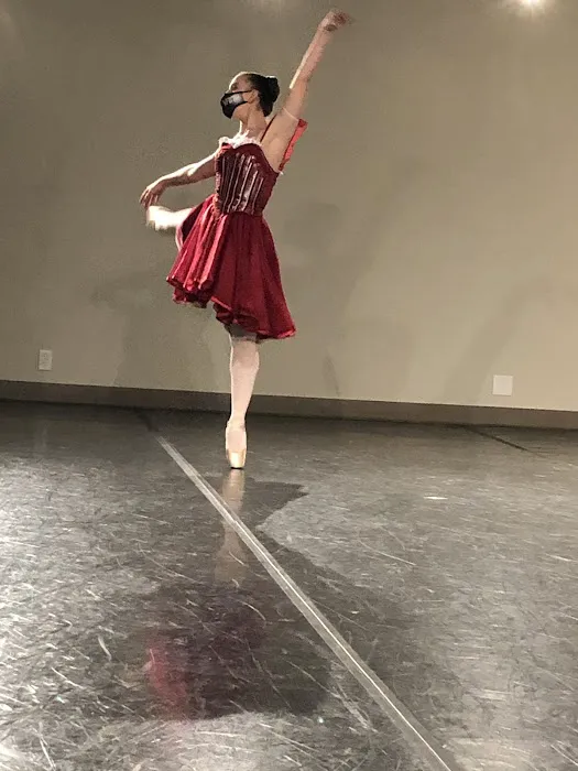 Wichita Falls Ballet Theatre Picture 2