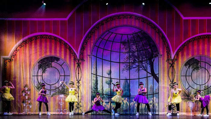 Lawton Ballet Theatre Picture 6