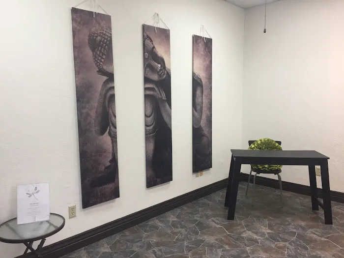 Dragonfly Hot & Aerial Yoga Studio Picture 4