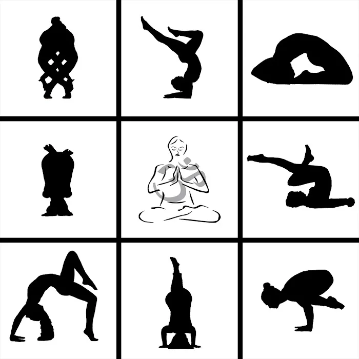 Dragonfly Hot & Aerial Yoga Studio Picture 6