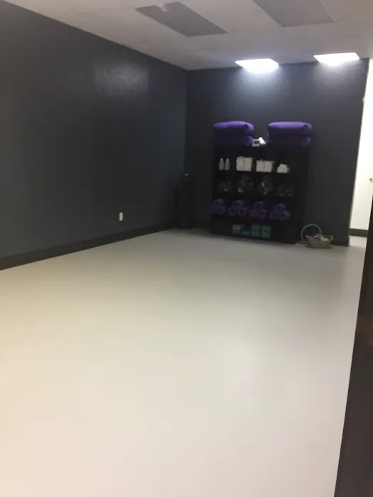 Dragonfly Hot & Aerial Yoga Studio Picture 1