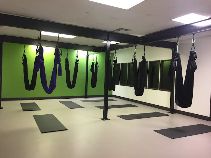 Dragonfly Hot & Aerial Yoga Studio Picture 2