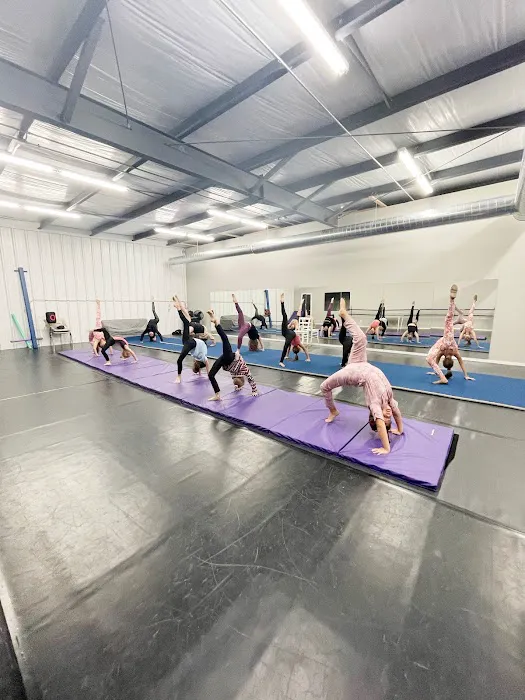 Elevate Dance Academy Picture 4