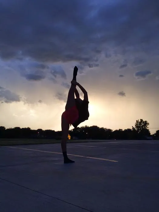 Dance Authority Performing Arts Studio Picture 7