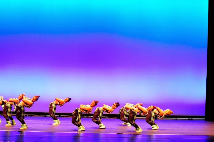 Dance Authority Performing Arts Studio Picture 10