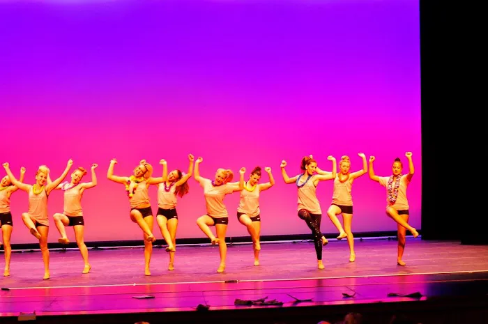 Dance Authority Performing Arts Studio Picture 3