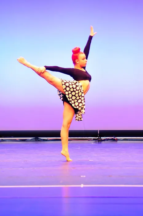 Dance Authority Performing Arts Studio Picture 2