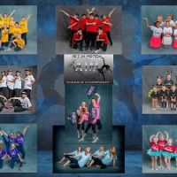 Art In Motion Dance Company ico