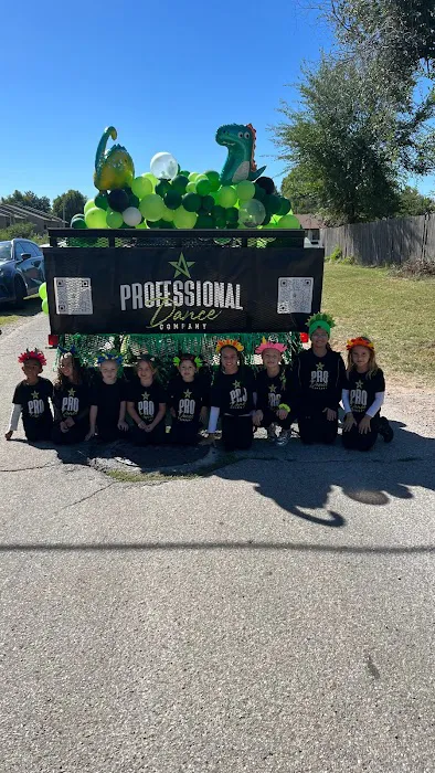 The Professional Dance Company Picture 1