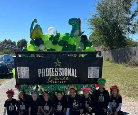 The Professional Dance Company