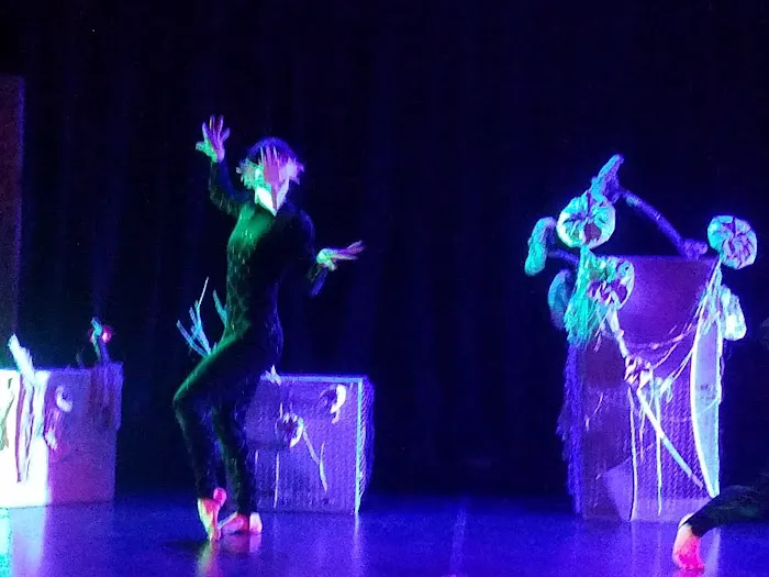 Perpetual Motion Dance OKC Picture 2