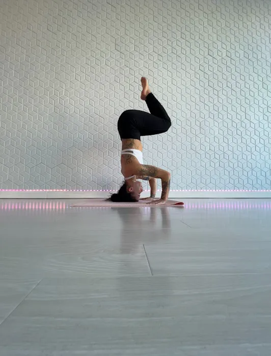 Haus of Pole Picture 1