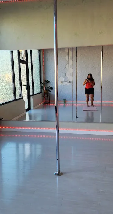 Haus of Pole Picture 9