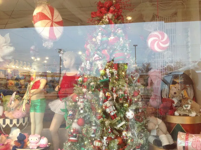 SHOW BIZ DANCEWEAR BOUTIQUE Picture 2