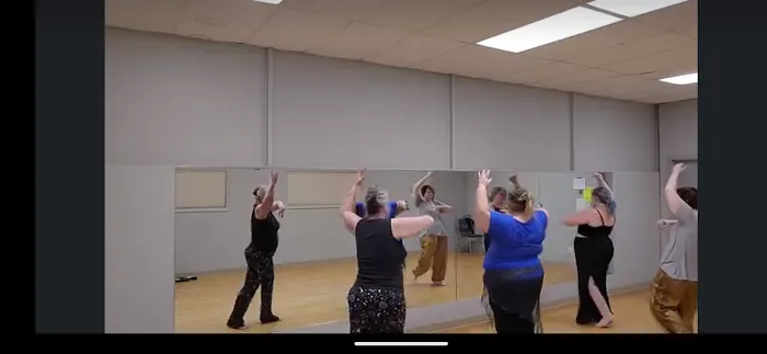 Deep Fried Sequins Belly Dance Picture 1