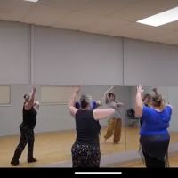 Deep Fried Sequins Belly Dance ico