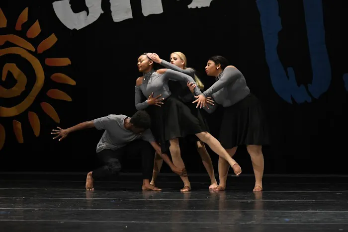 The Dance Department Company Picture 2