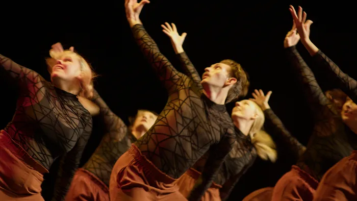 RACE Dance Collective Picture 10