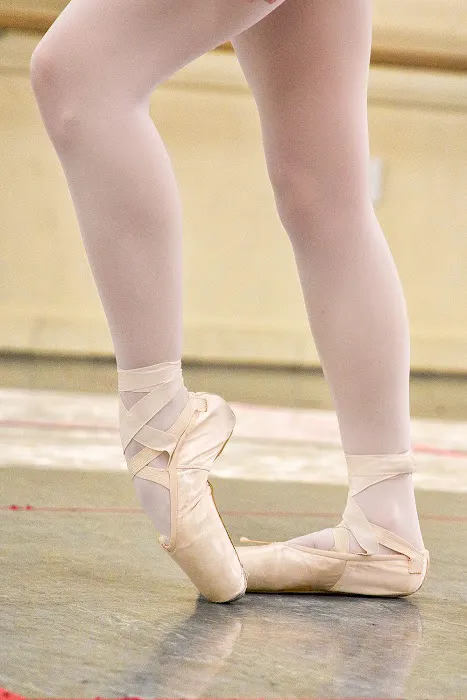 Dance Unlimited Picture 2