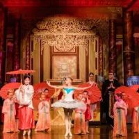 Classical Ballet School ico