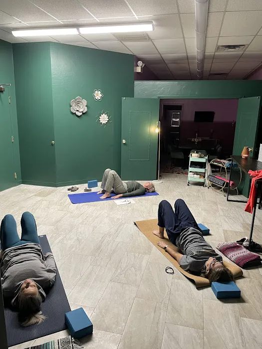 Energetic Motion Studio Picture 1