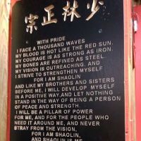 Shaolin Kung Fu Studios ico
