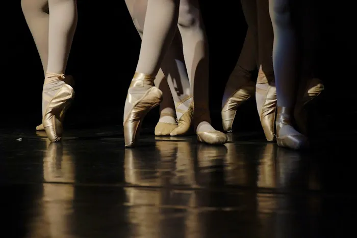 got dance? apparel and active gear Picture 3