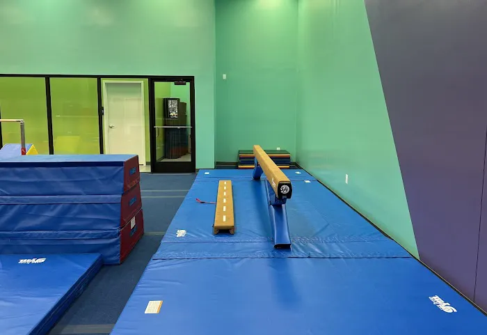The Little Gym of Westborough Picture 5