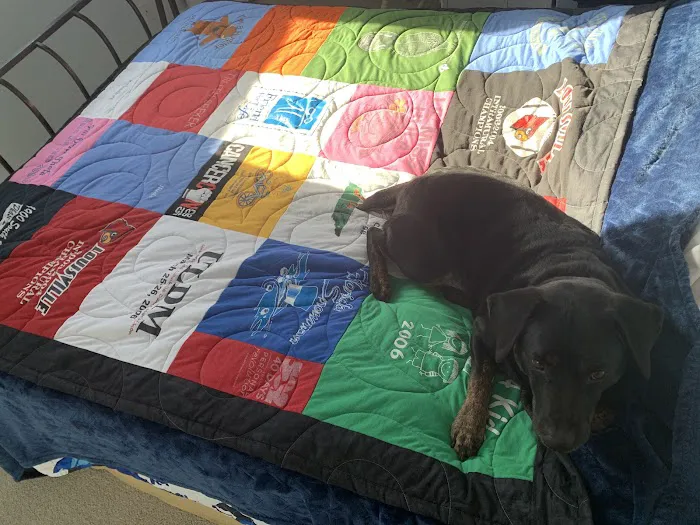 Happy Dance Quilting Services Picture 9
