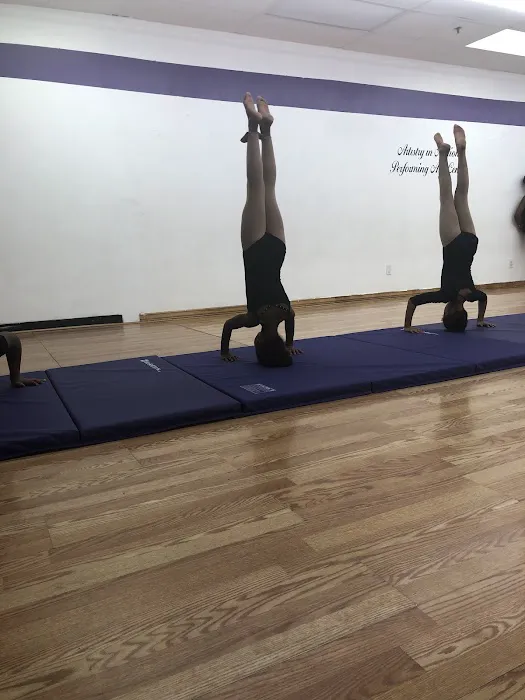 Artistry in Motion Performing Arts Center, LLC Picture 5