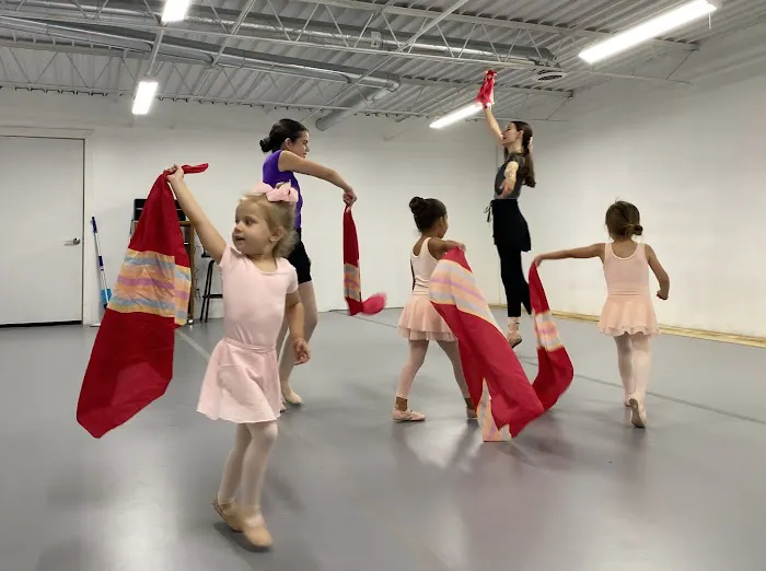 Virginia Academy of Dance Picture 2
