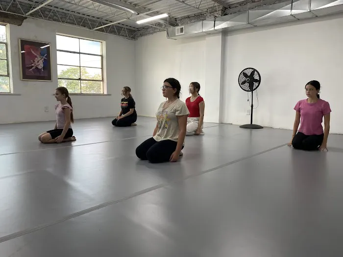 Virginia Academy of Dance Picture 8