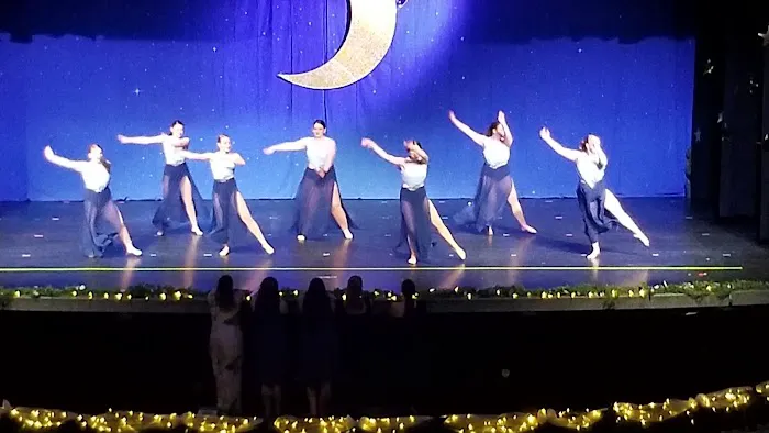 Art of Rhythm Dance Company Picture 2