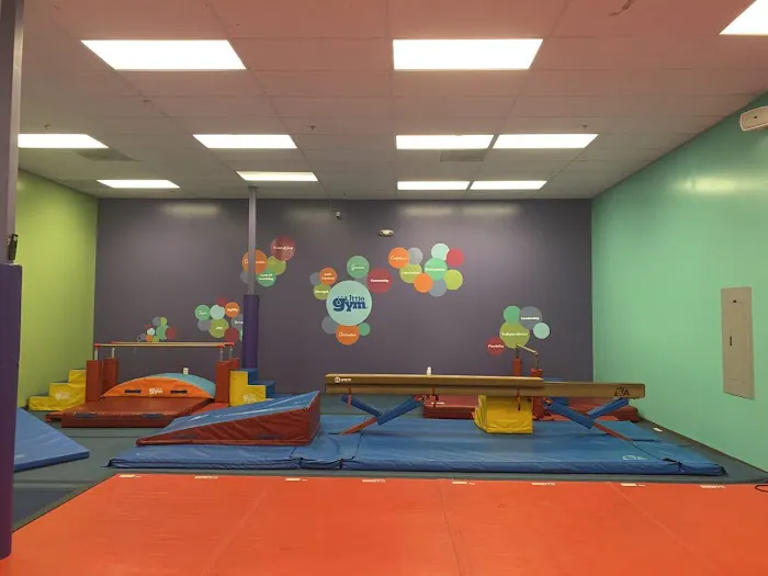 The Little Gym of San Jose (South) Picture 3